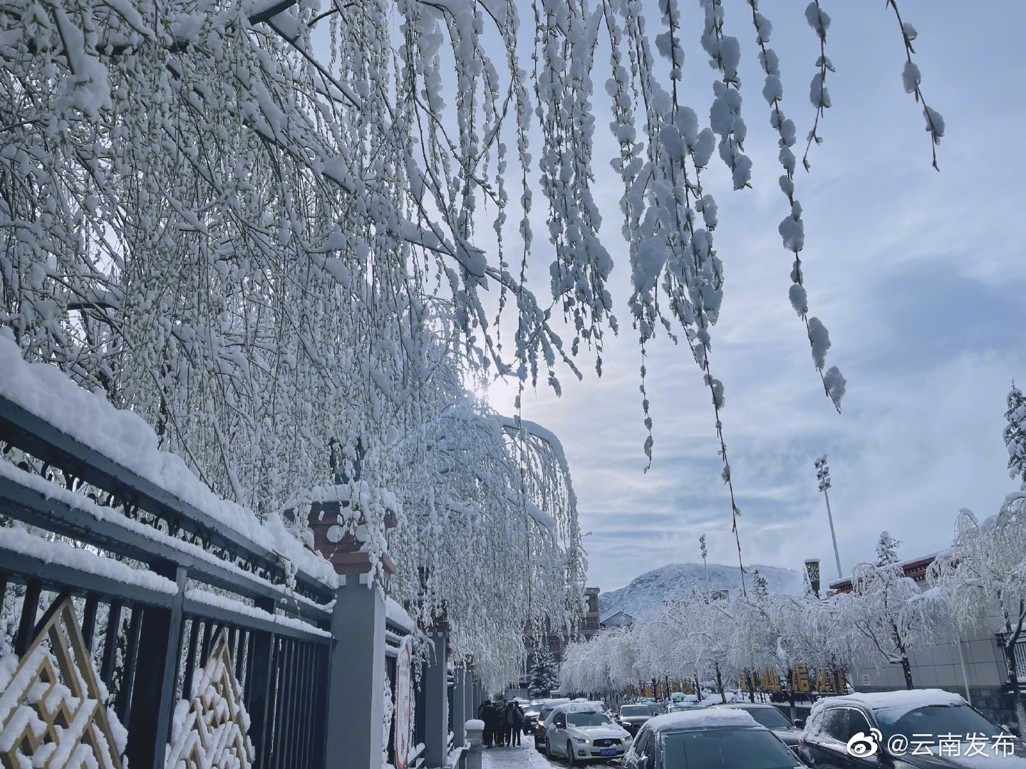 “云南发布”微博