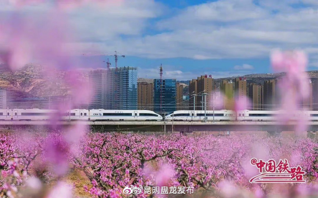 昆明盘龙发布
