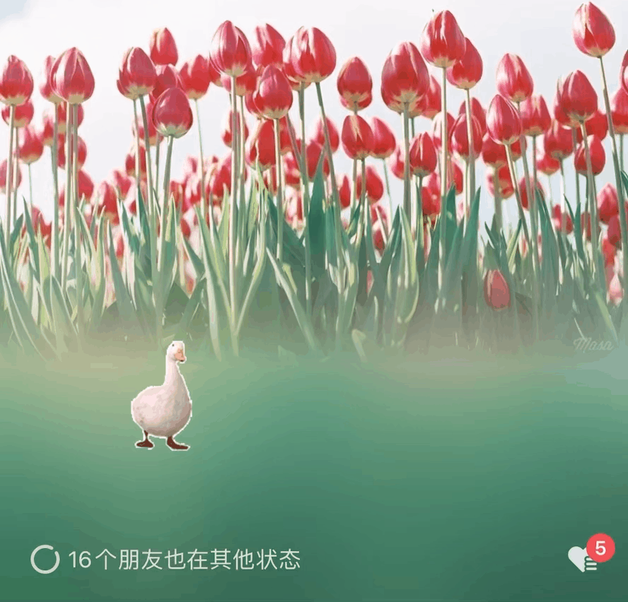 昆明信息港/cnkmxxg