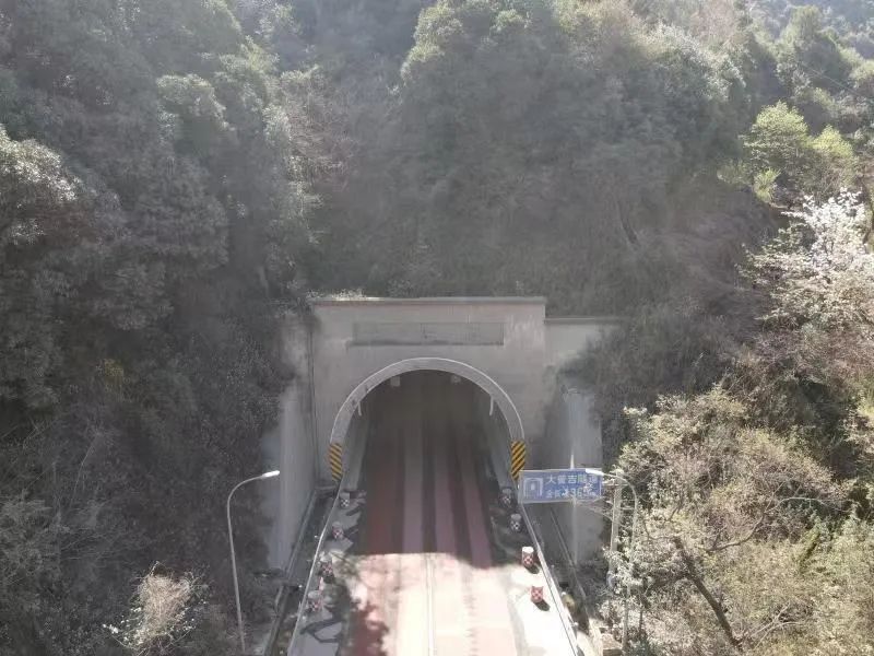 掌上春城微信公众号