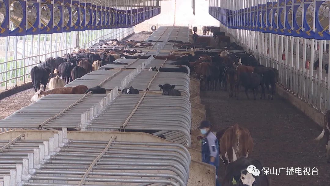 保山广播电视台