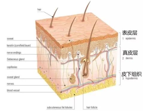 云南省中医医院