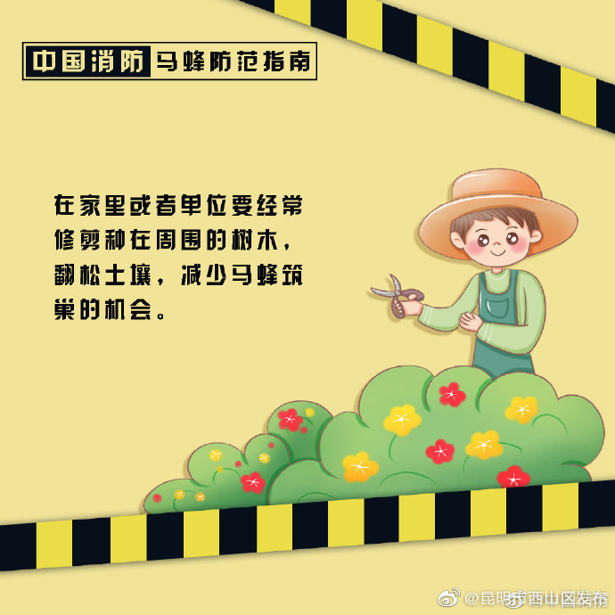 昆明市西山区发布