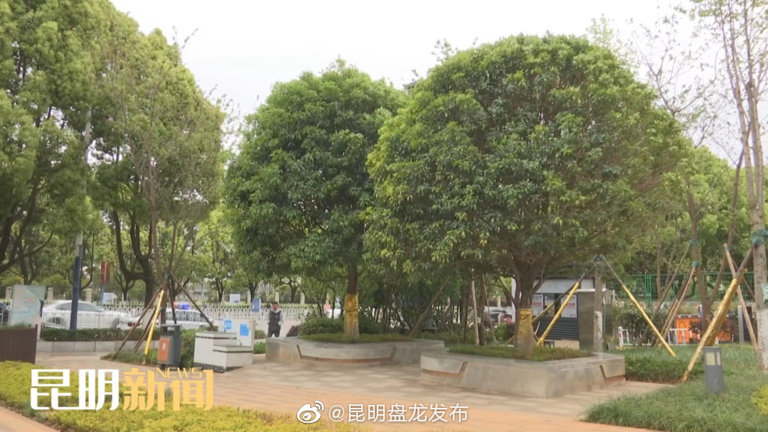 昆明盘龙发布