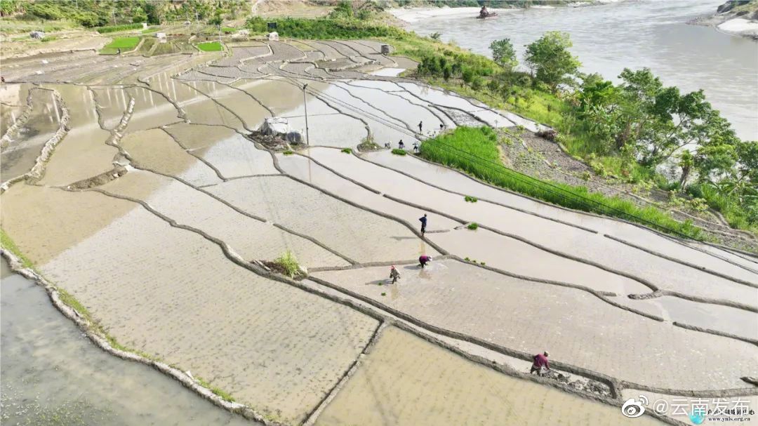 “云南发布”微博