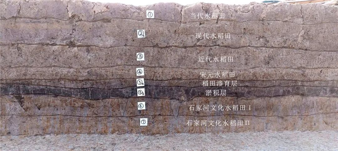 美丽云南微科普