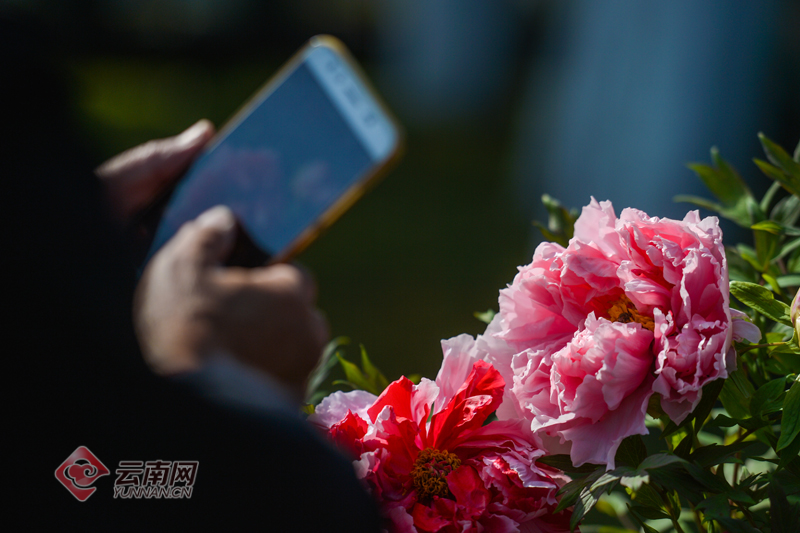 云南省文化和旅游厅