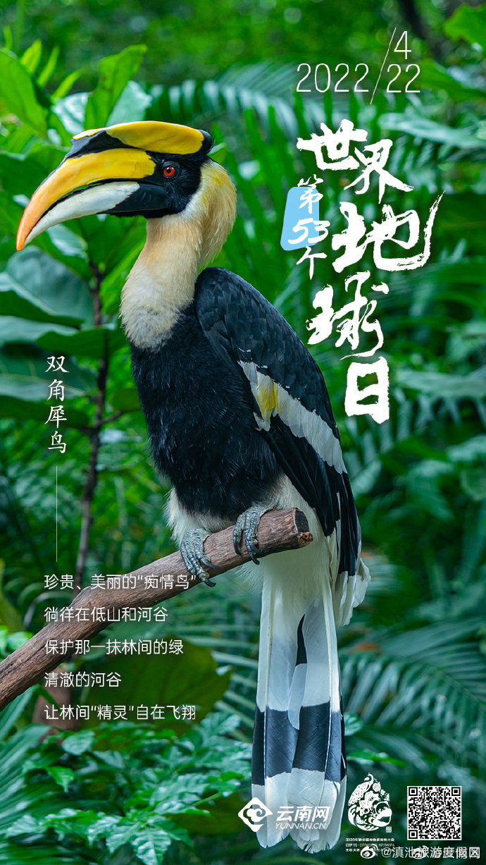 “滇池旅游度假区”微博