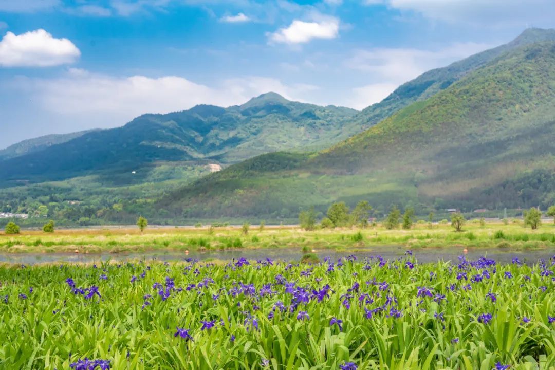 云南省文化和旅游厅