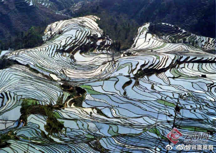 “昆明官渡发布”微博