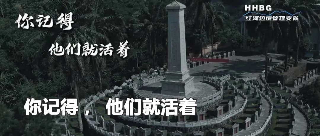 云南政法