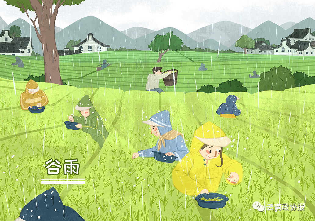 云南政协报