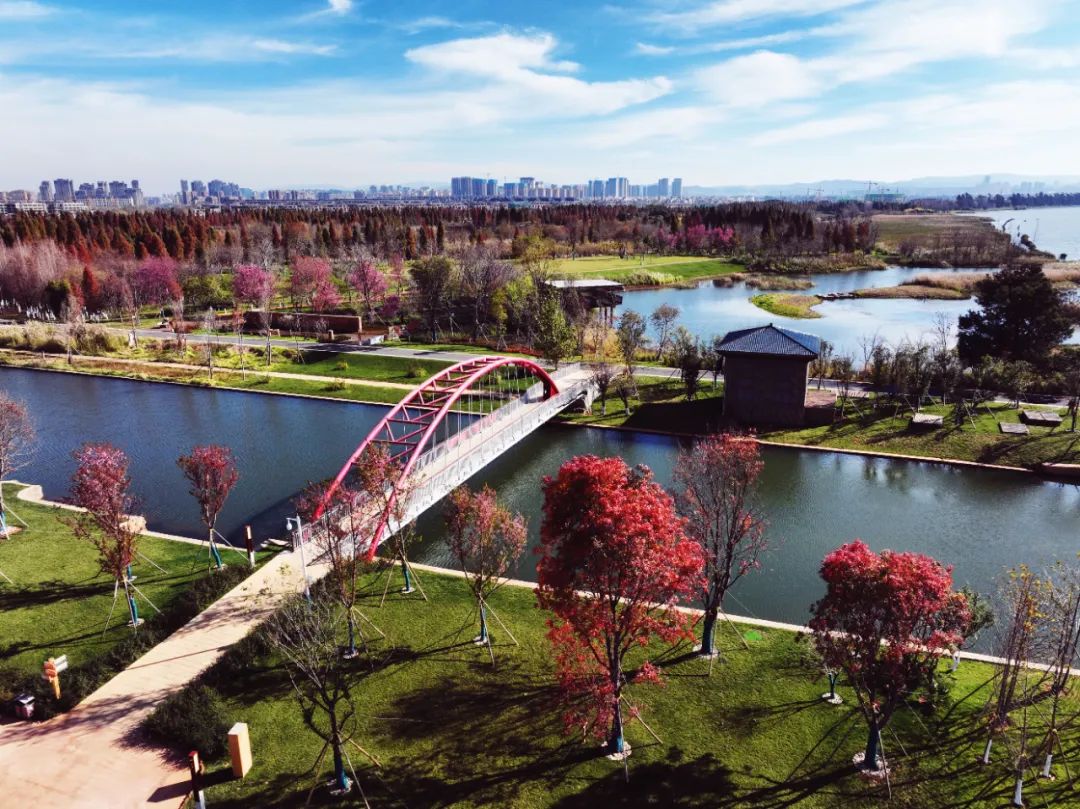 掌上春城微信公众号