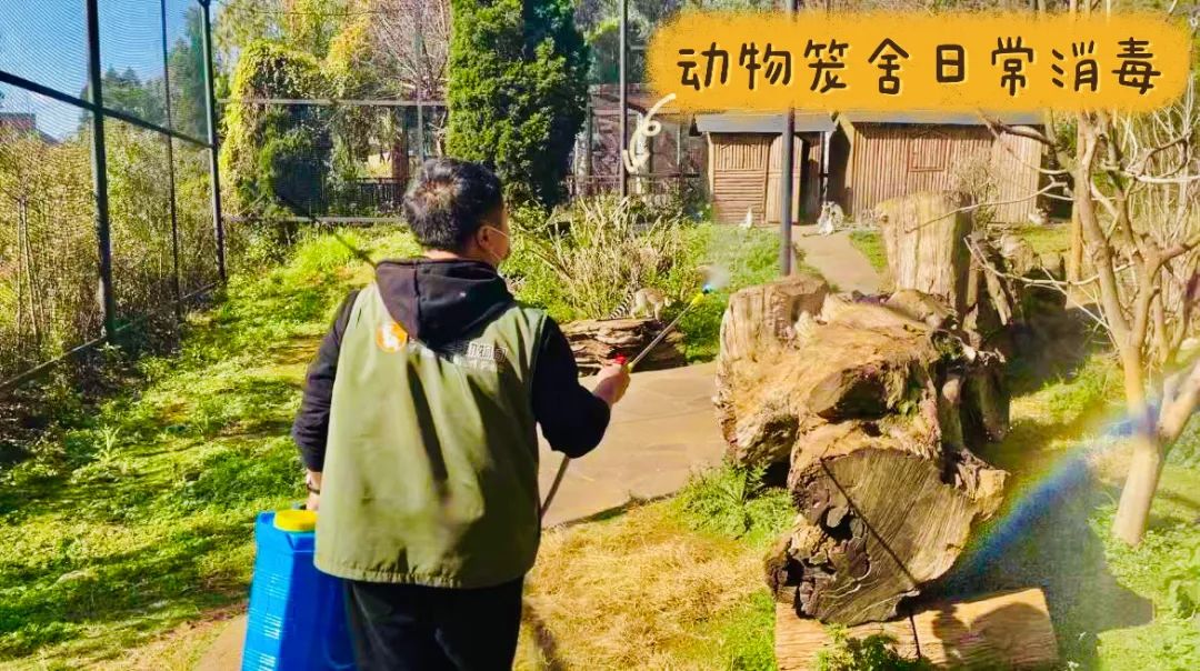 云南野生动物园