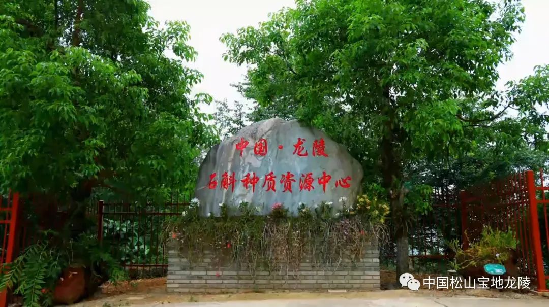 保山新闻网