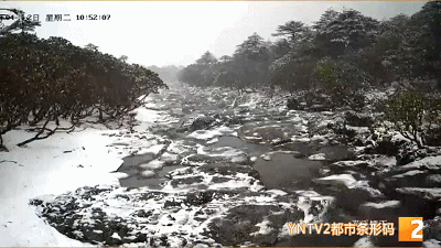 掌上春城微信公众号