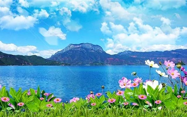 丽江日报