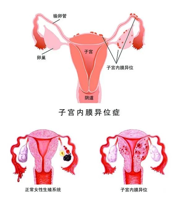 昆明市妇幼保健院
