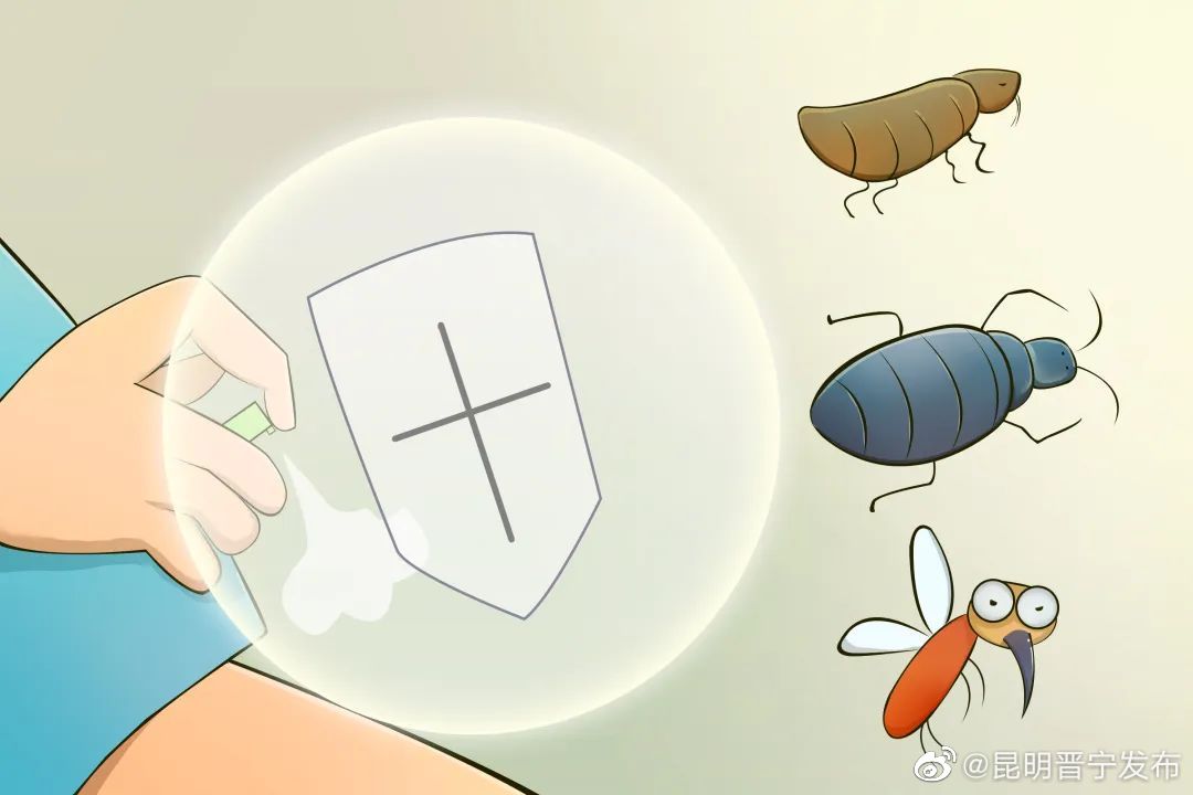 夏天到了，如何减少蚊、蝇等病媒生物的侵扰？