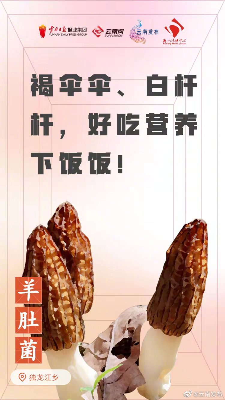 “云南发布”微博