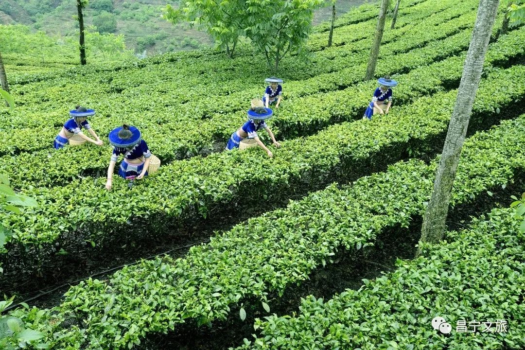 保山新闻网