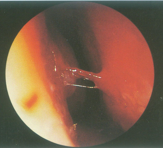 昆明市延安医院