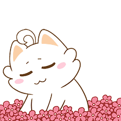 保山新闻网