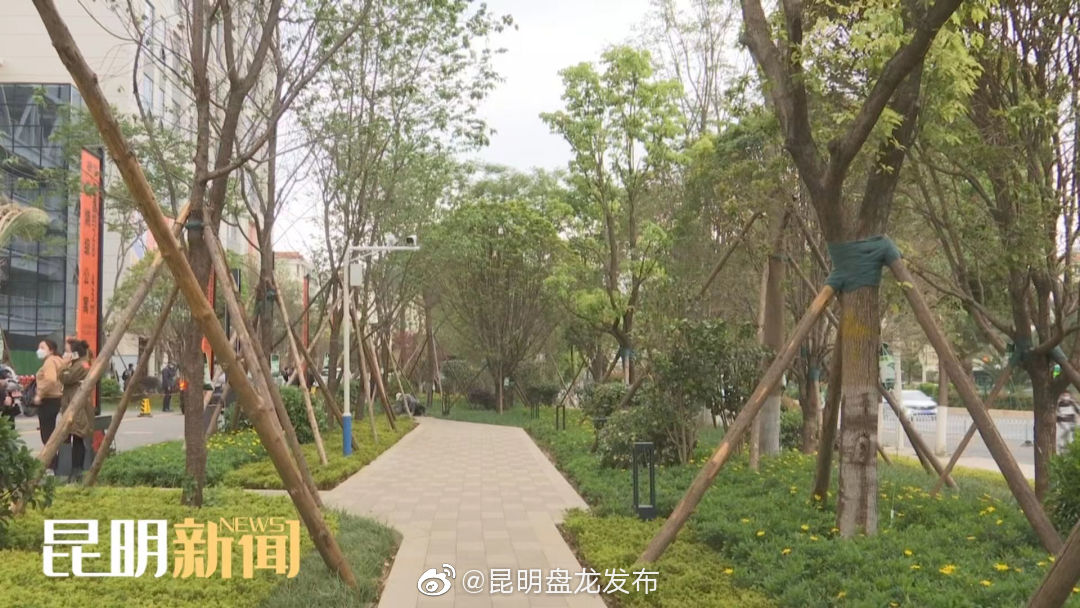 昆明盘龙发布