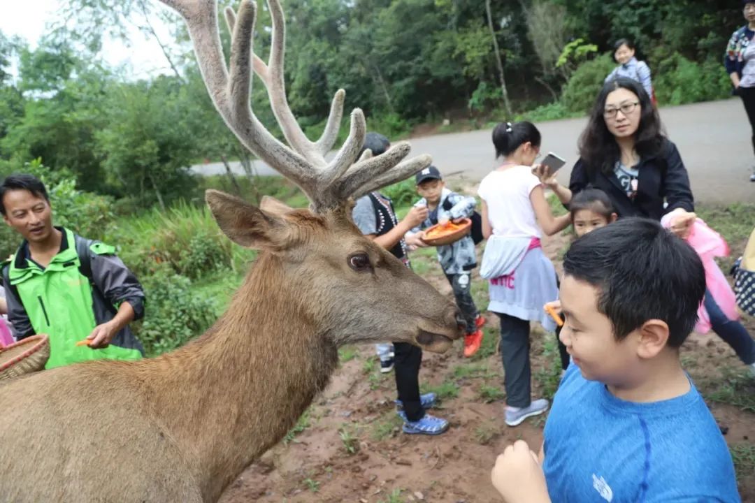 普洱日报