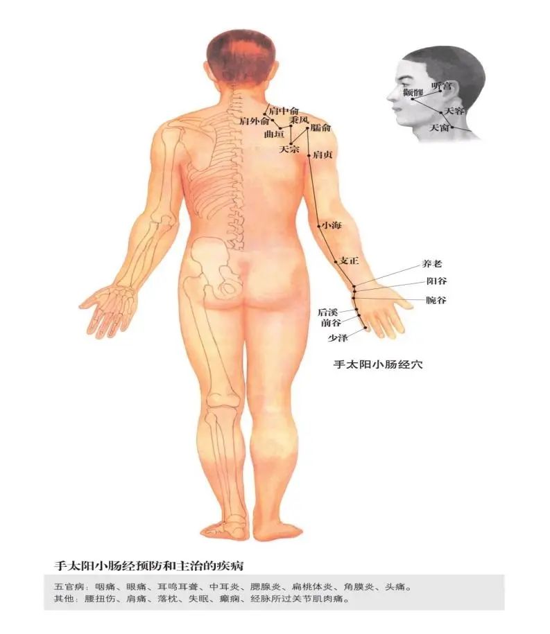 蒙自中医