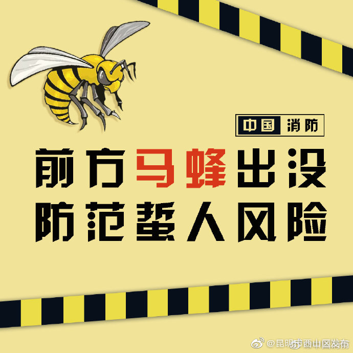 昆明市西山区发布
