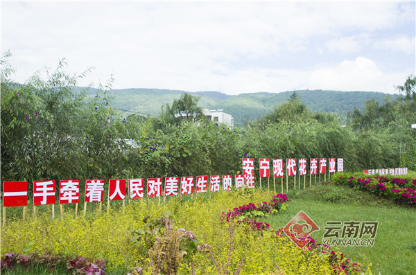 云南省文化和旅游厅