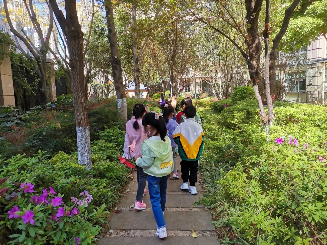 盘龙教育(微信)