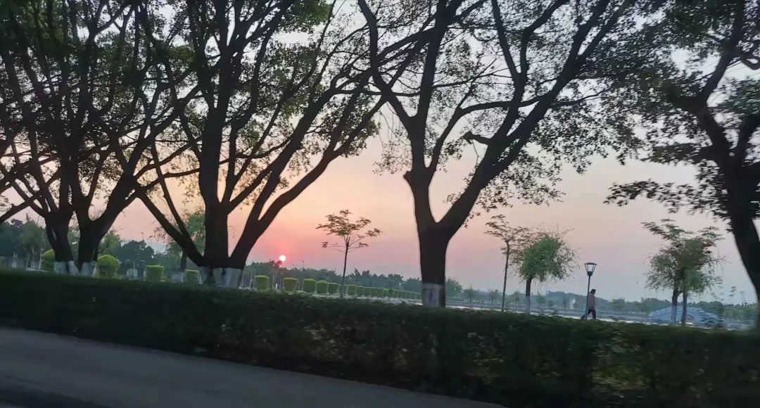 蒙自中医
