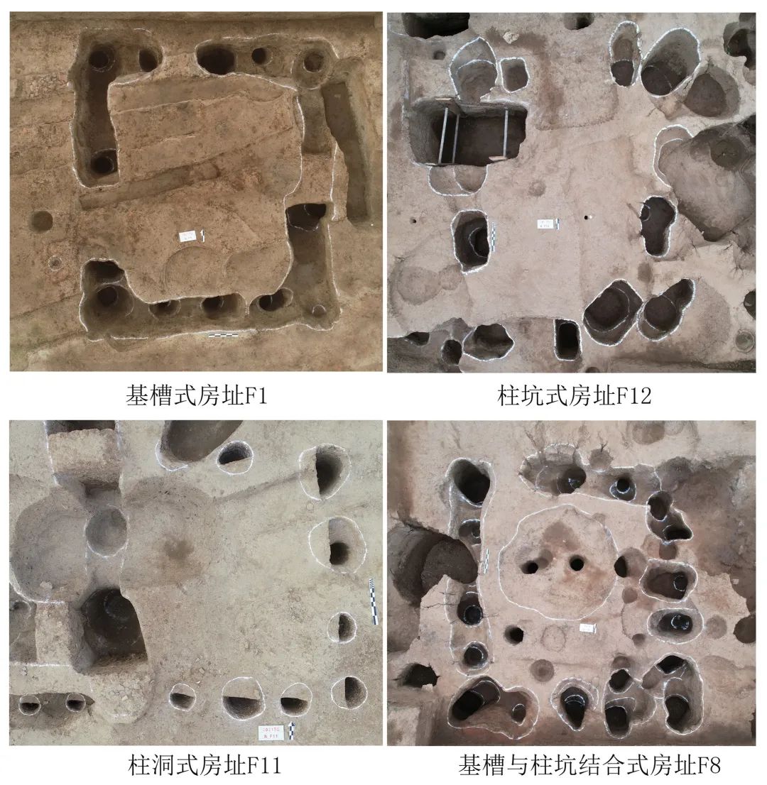 美丽云南微科普