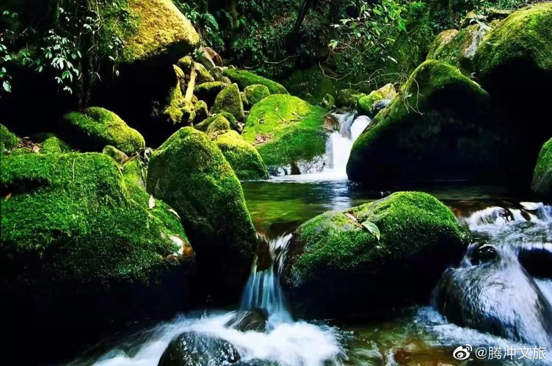 腾冲文旅微博