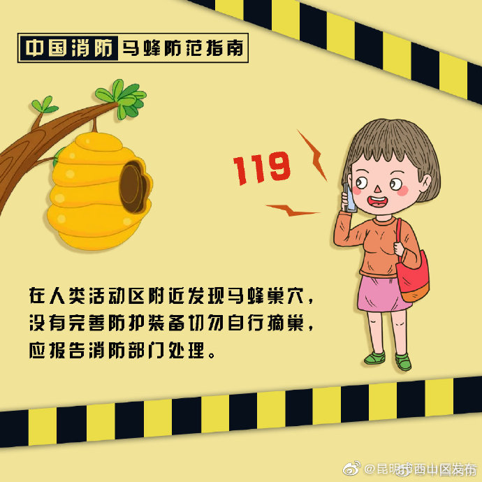 昆明市西山区发布