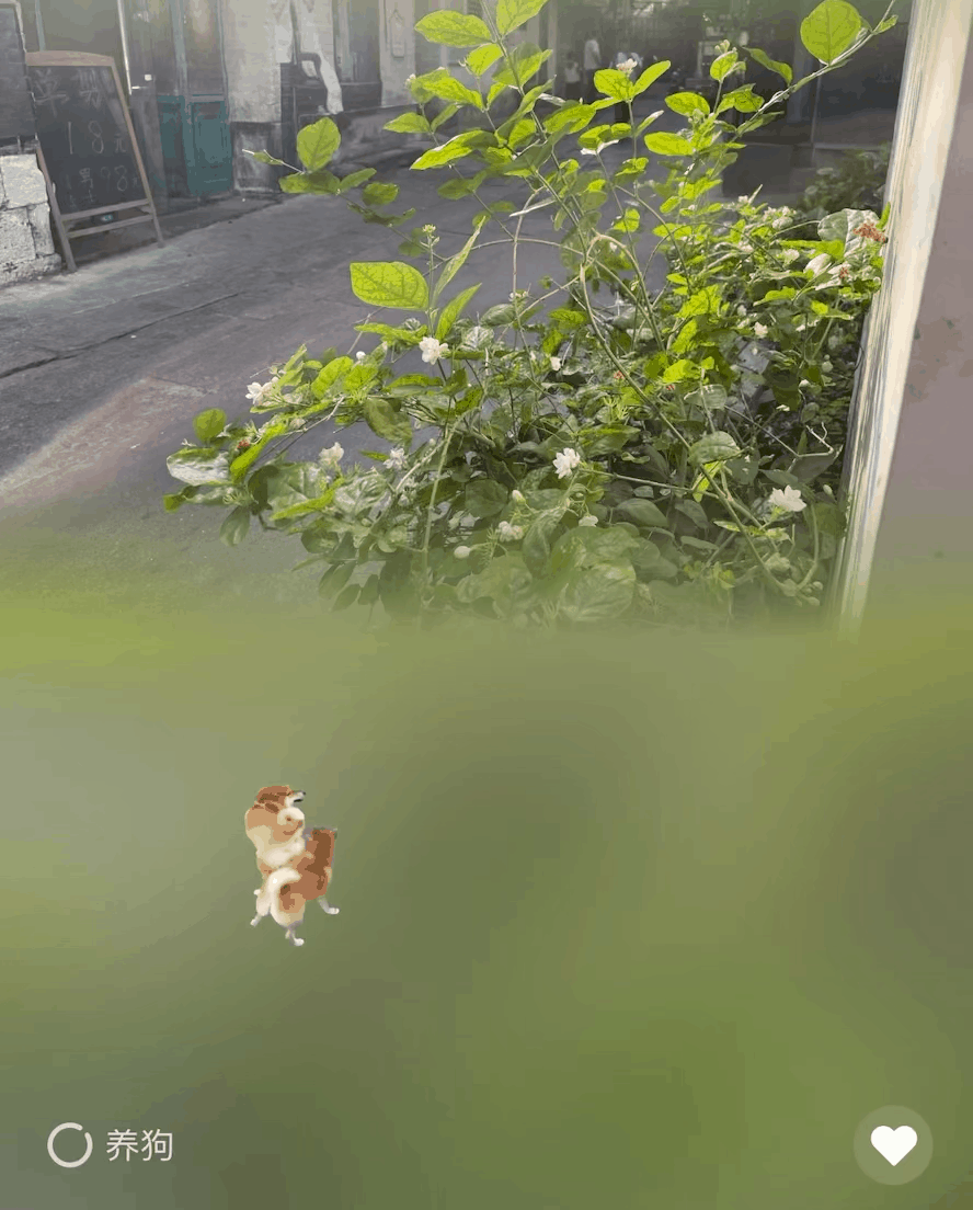 昆明信息港/cnkmxxg