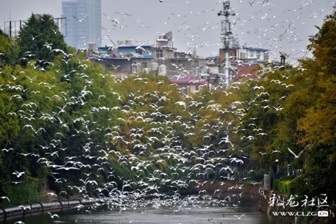 文明昆明