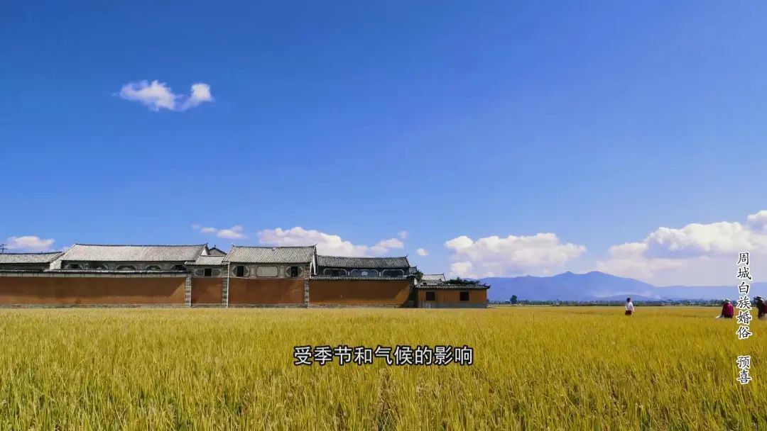 大理电视台
