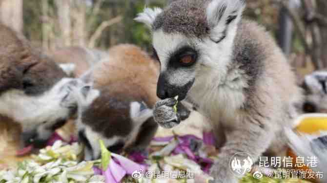 “昆明官渡发布”微博