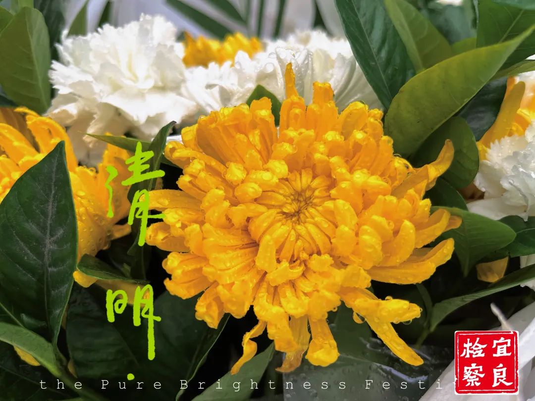 宜良检察(微信)