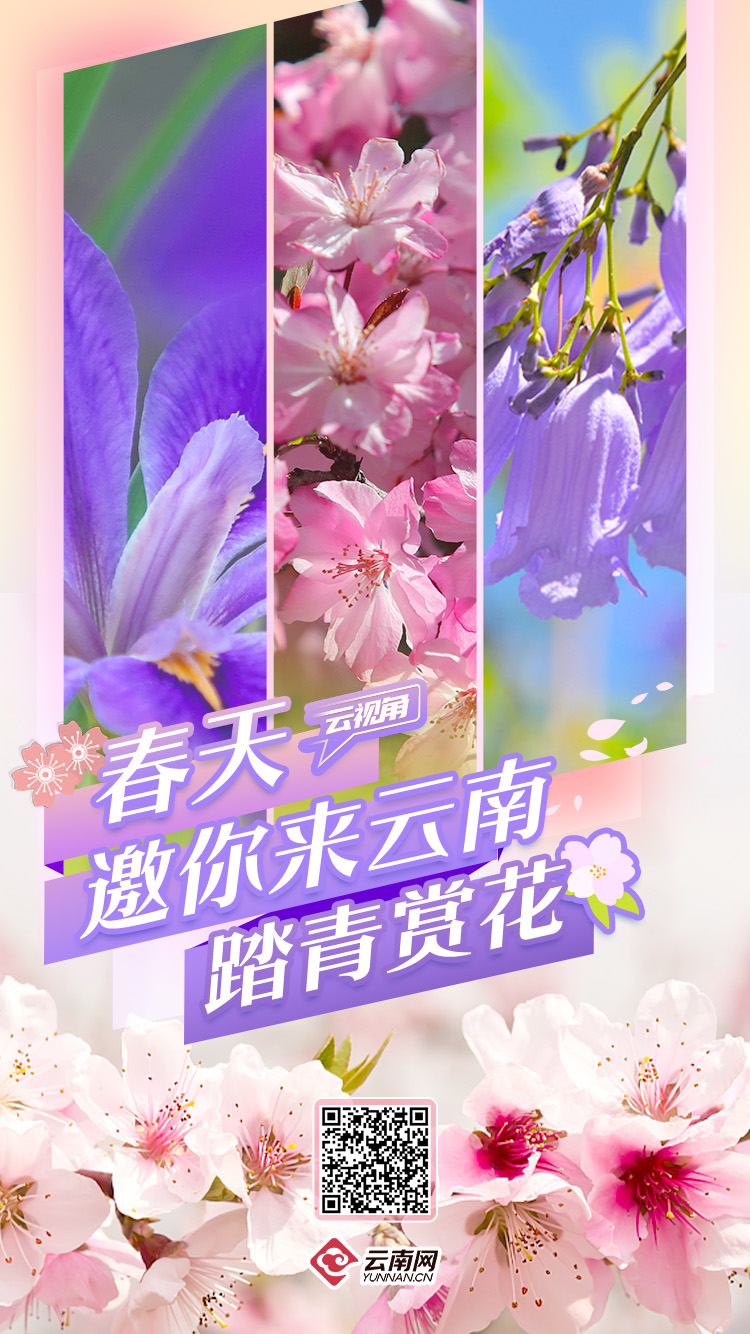 云南省文化和旅游厅