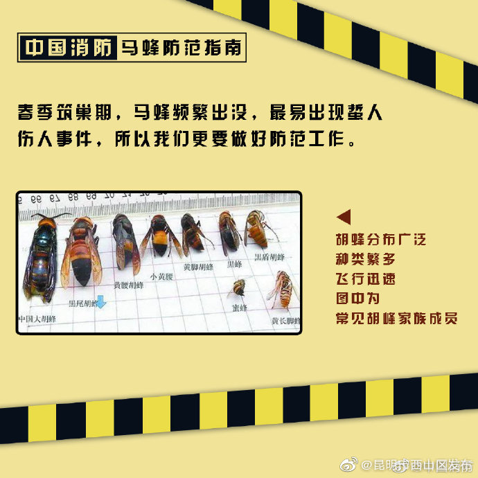昆明市西山区发布