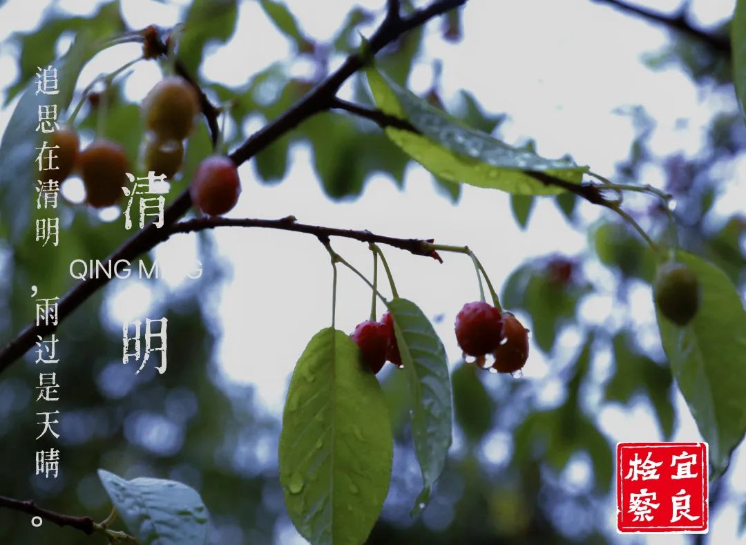 宜良检察(微信)