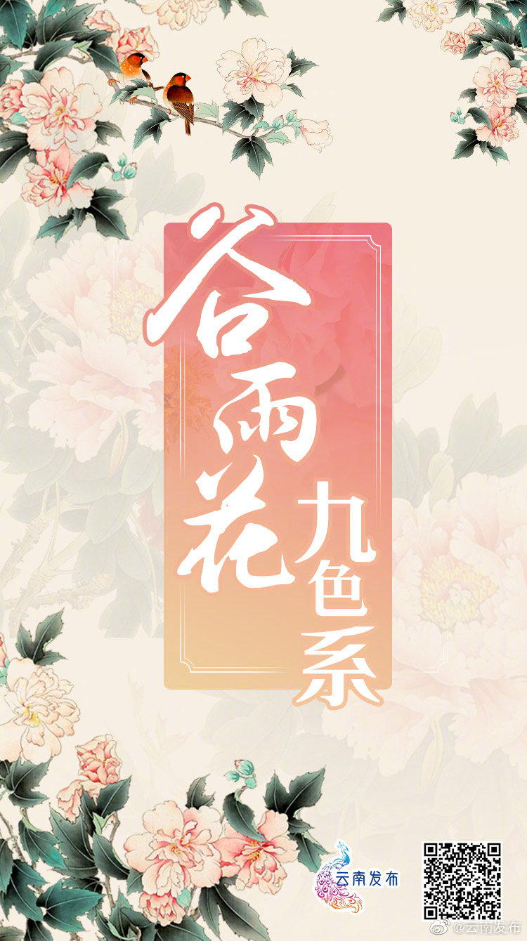 今日谷雨，隔屏闻香