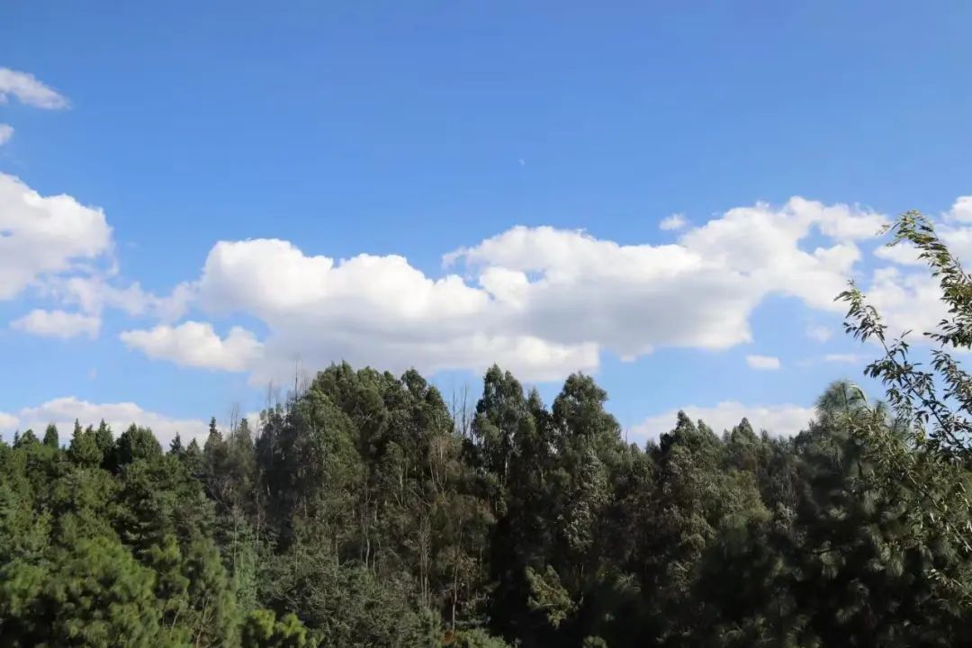 云南野生动物园