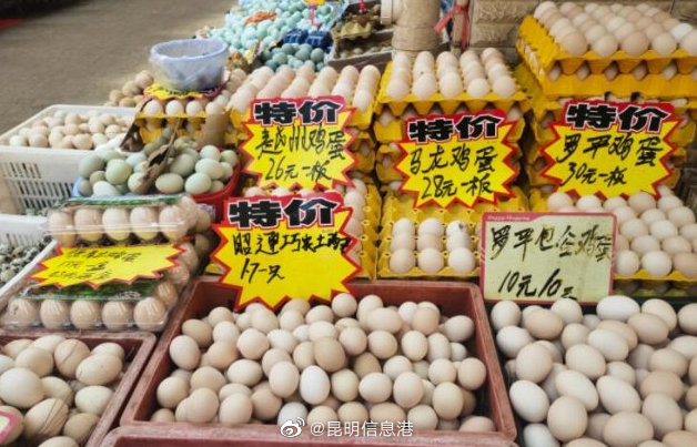 昆明信息港