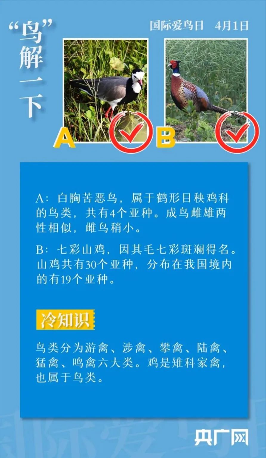 美丽云南微科普