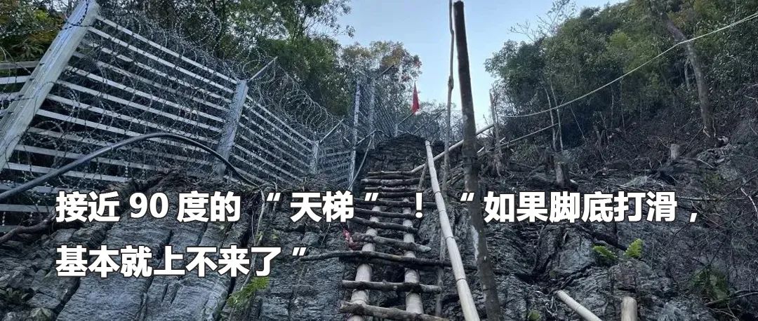 云南政法